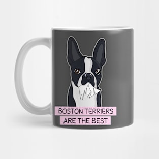 Boston terriers are the best Mug